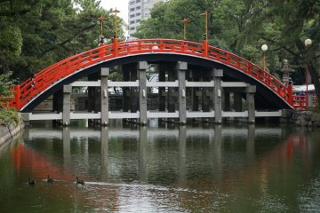 <p>สะพานส้มที่ขึ้นชื้อ เป็ดว่ายน้ำอย่างมีความสุข</p>