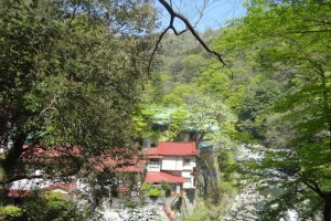 On the way down into the valley, you’ll pass by two inns; Yamato-ya (大和屋) and Taisei-kan (対星館). Keep following the path, cross a bridge and turn left. After that, the course becomes a simple mountain path.