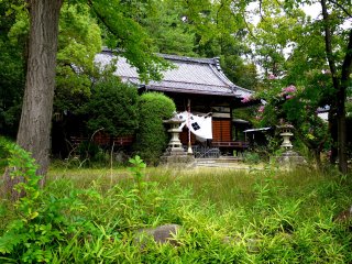 Summer growth surrounds the shrine