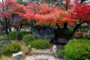 <p>Inscribed rock under the maple leaves</p>