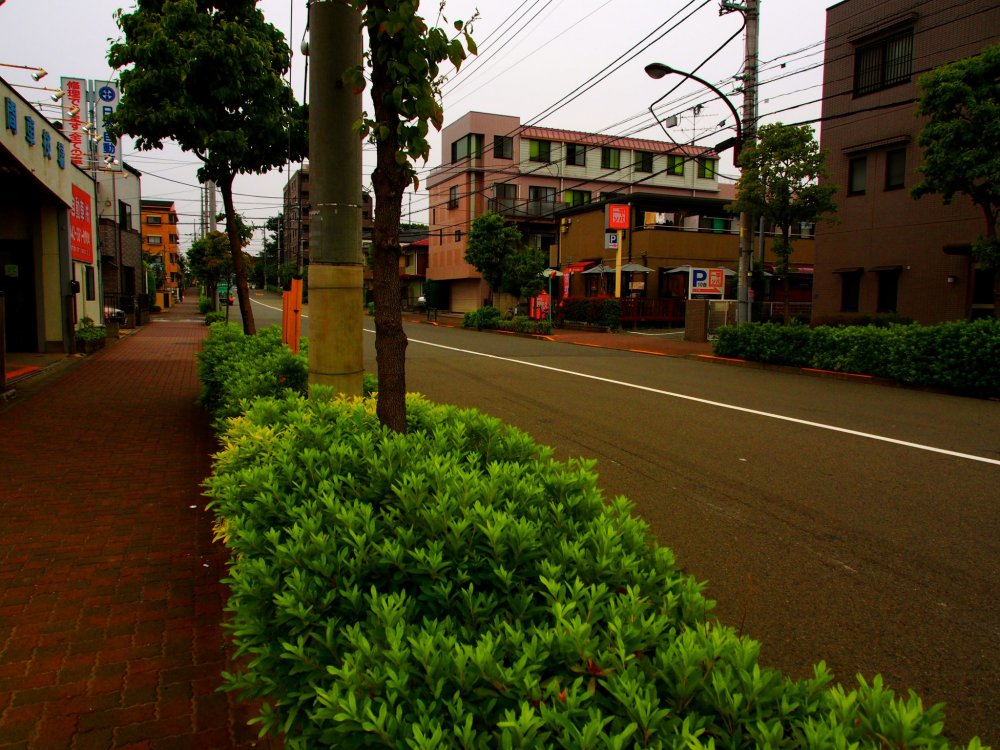 Tokyo suburban street