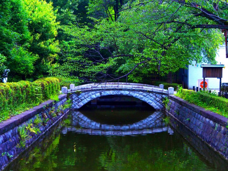 <p>Peaceful bridge over the Koganei pond</p>