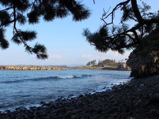 越前松島の岩礁の北側には砂浜が延びる。浜地という地名だ