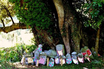 <p>Ojizo statues under a tree in the middle of nowhere</p>