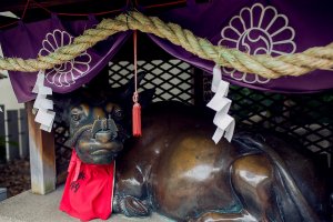 This cow (kamigyusha) is one of the enshrined deities at Ohatsu Tenjin. It is an ancient belief that if you pass your hands over someone&#39;s ailed body parts, and do the same to the statue, that the person&#39;s illness will be healed.