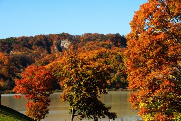 <p>Autumn foliage at its peak in late October on the shore of Lake Kanayama in Minamifurano</p>