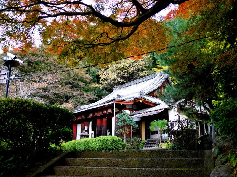 <p>Sonsho-in is small but beautiful &nbsp;</p>