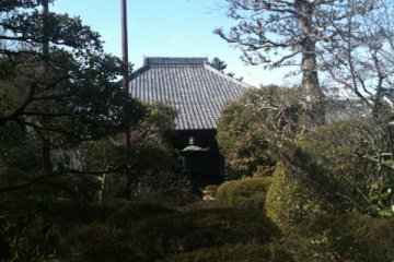 Toganji's ancient main hall.