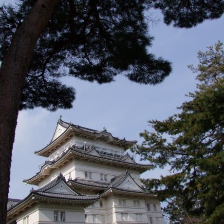 Diversão no Castelo de Odawara