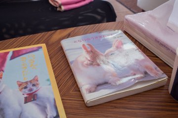 <p>There are a range of cute coffee table books for you to browse through while you have a cuppa. This one is called &quot;My Neighbour Rabbit-chan&quot;, and is filled with adorable photos of bunnies living out their cute bunny lives.&nbsp;</p>