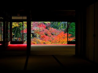 Dedaunan musim gugur terlihat dari salah satu bangunan di Kuil Nanzenji, &#39;Tenju-an&#39;, terlihat seperti mahakarya dalam sebuah bingkai.