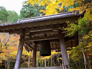 Bell tower with yellow foliage