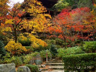 &nbsp;Wonderful autumn foliage around the pagoda