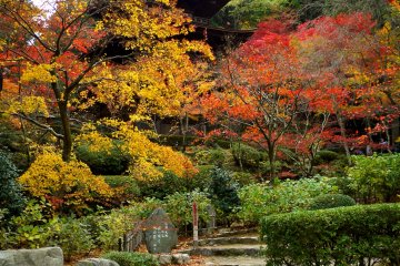 <p>&nbsp;Wonderful autumn foliage around the pagoda</p>