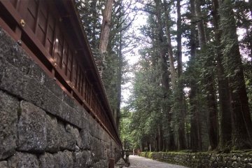 The cedar road approach from Tosho-gu to Futara-san Shrine.