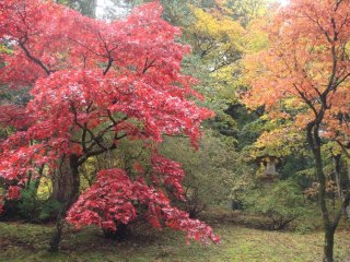 Tosho-gu in autumn.