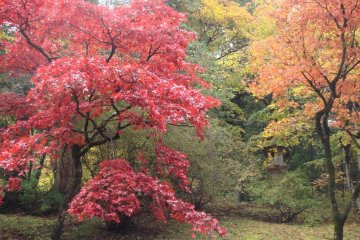 Tosho-gu in autumn.