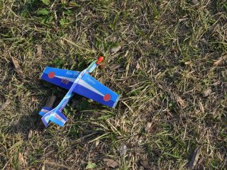 A lone paper plane landed on the grass