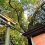福井花堂の古寂びた熊野神社