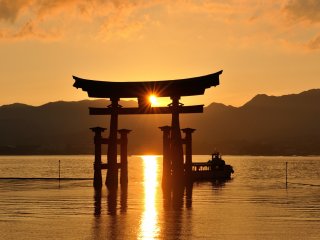 The tide is coming in, and a cruise boat is passing under the big torii gate