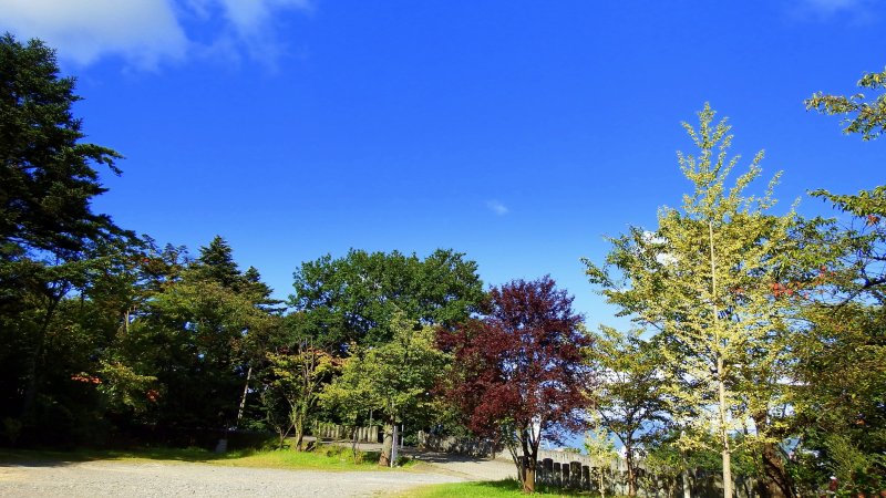 <p>In the shrine grounds trees are changing color under the blue autumn sky</p>