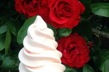 Ice cream of rose