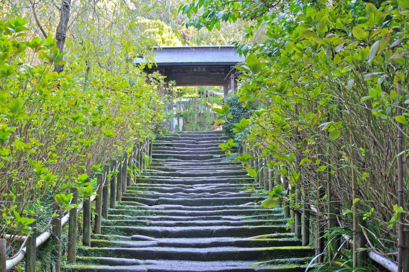 <p>The path of weathered Kamakura stones. In June, the bushes along the path bloom with beautiful hydrangeas and is a very popular spot for photo taking.</p>