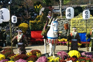 Nihonmatsu Chrysanthemum Festival  2019