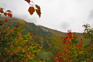 Warna-warni musim gugur sepanjang trek