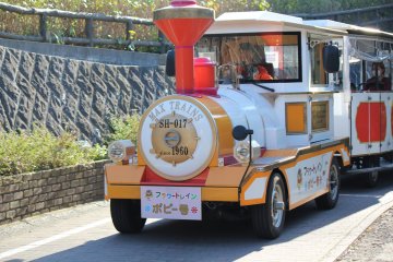 <p>Take the &quot;Flower Train&quot; from the Main Entrance for just 210yen one way (100yen for children)</p>