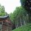 후쿠이 숲의 하쿠산 신사(白山神社)