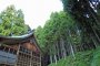 후쿠이 숲의 하쿠산 신사(白山神社)