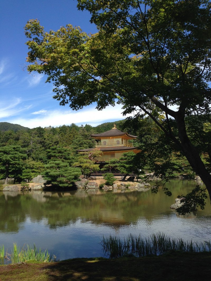 <p>Almost everyone visiting Kinkaku-ji&nbsp;stops at this first &quot;photo chance spot&quot;, but if you walk a little more to the area where there are not so many people, you can take quite a nice photo as well!</p>