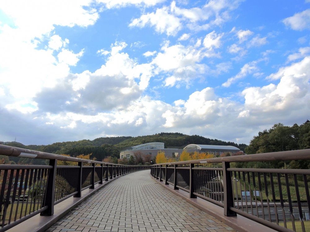 Walking on a crossover bridge leading to the main sports facilities