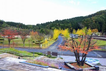 <p>Вид на парк активного отдыха Фукуи с верхних ступеней лестницы</p>
