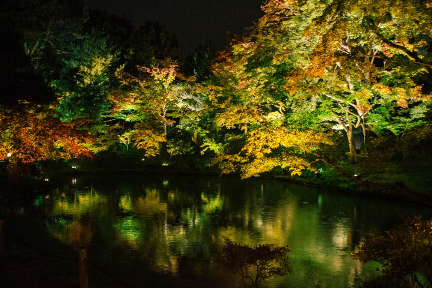 Reflections of the lights in the pond beside Kodai-ji Temple.