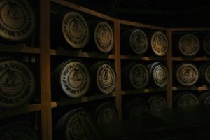 Old barrels on display