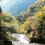 Cầu dây văng và thác nước Umenoki 