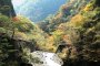 Cầu dây văng và thác nước Umenoki 
