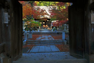 <p>Shuzenji Temple&#39;s entrance gate and the pathway to the main hall. The fallen leaves are scattered about due to the heavy rain and strong wind of the previous day.</p>