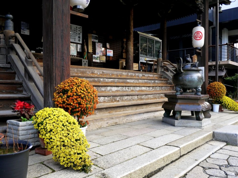 Since it was autumn, magnificent potted chrysanthemums graced the temple steps