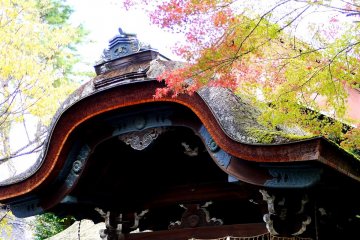 <p>Pink-toned maple leaves with the with the beautiful roof shape of the shrine&#39;s main hall in the background</p>