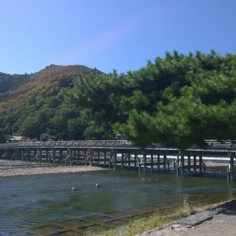 อราชิยาม่า (嵐山 - Arashiyama)