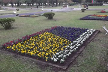 And there are plenty of flowerbeds to admire