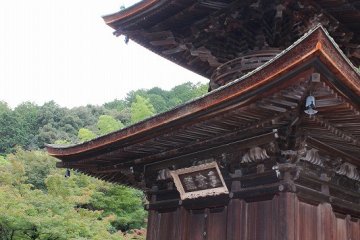 분로쿠 5(1595)년, 닛신상인이 이 절에 은거하여 당사를 건립하였다. 닛신은 가인이기도 했다. 그런 점에서 후지와라 사다이에의 산장, 시우정이 있던 이 오구라 산 기슭의 땅을 스미노쿠라 료이와 스미노쿠라 에이카가 기진하였다. 더욱이 다이묘, 고바야가와 히데아키 등이 기진해 당탑 가람이 정비됐다고 전해진다.