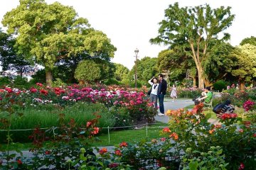 <p>The park has large numbers of flower beds that are in bloom all year.</p>