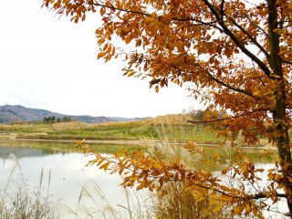 Lake Tabuko Numa decorated with&nbsp;autumn colors