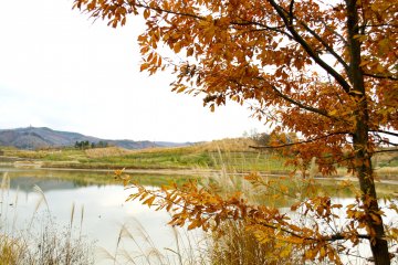 ทะเลสาบทะบุโคะประดับประดาด้วยใบไม้เปลี่ยนสี