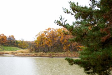 หลายเฉดสีของสีเขียว ส้ม และเหลืองรายรอบทะเลสาบทะบุโคะ นุมะ