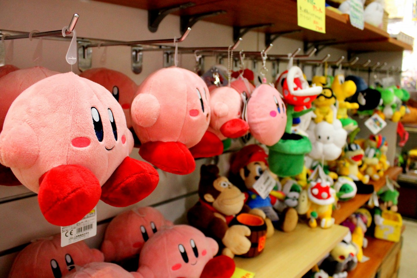 Be animated by their cute stuffed toys hanging from the rows of shelves.